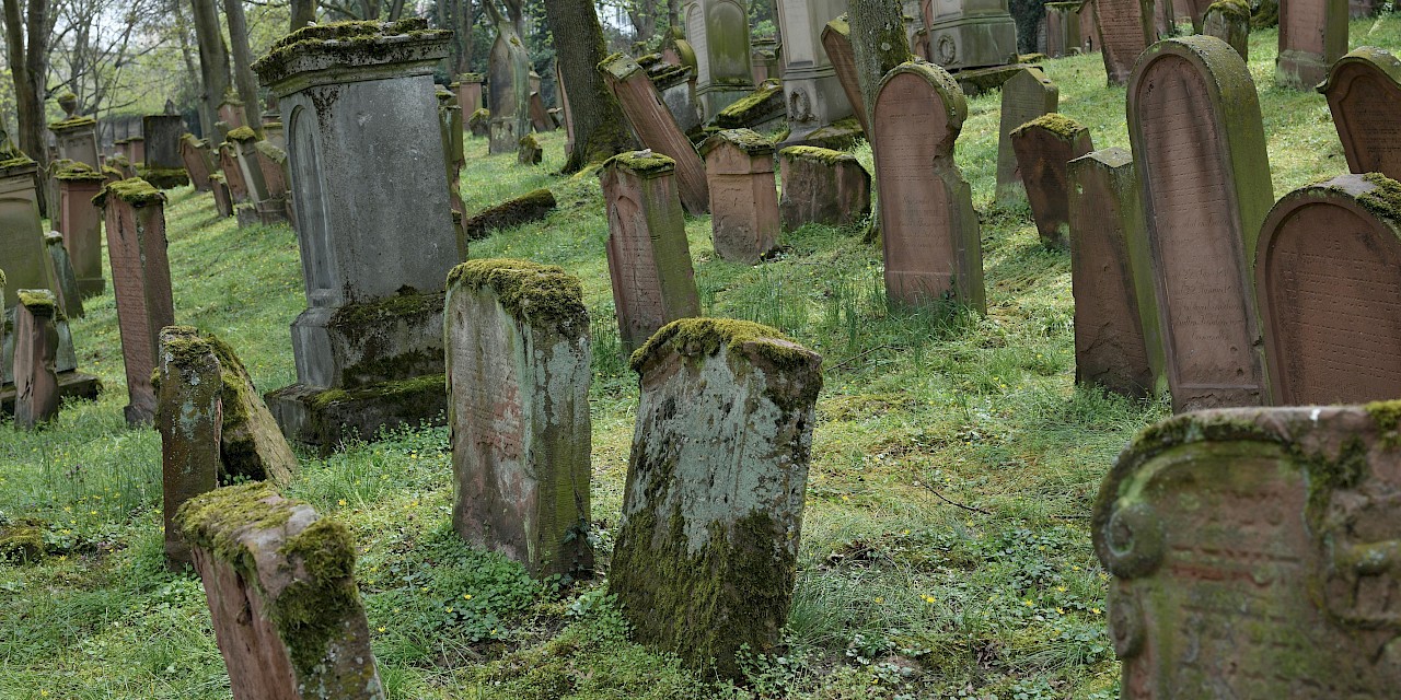 Grabsteine auf dem jüdischen Friedhof Mainz